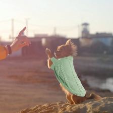 Свитер с косами