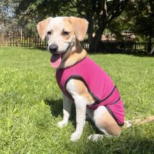 Evaporative cooling vest