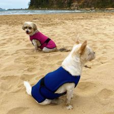 Evaporative cooling vest