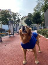 Coral-fleece coat