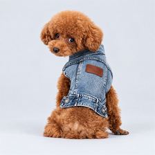 牛仔风夹克