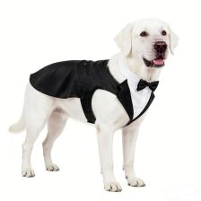Bow-tie tuxedo