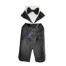 Bow-tie tuxedo