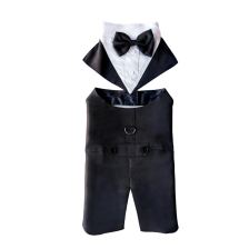 Bow-tie tuxedo
