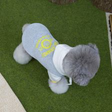 Fleece-style sweatshirt