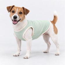 Sleeveless summer vest