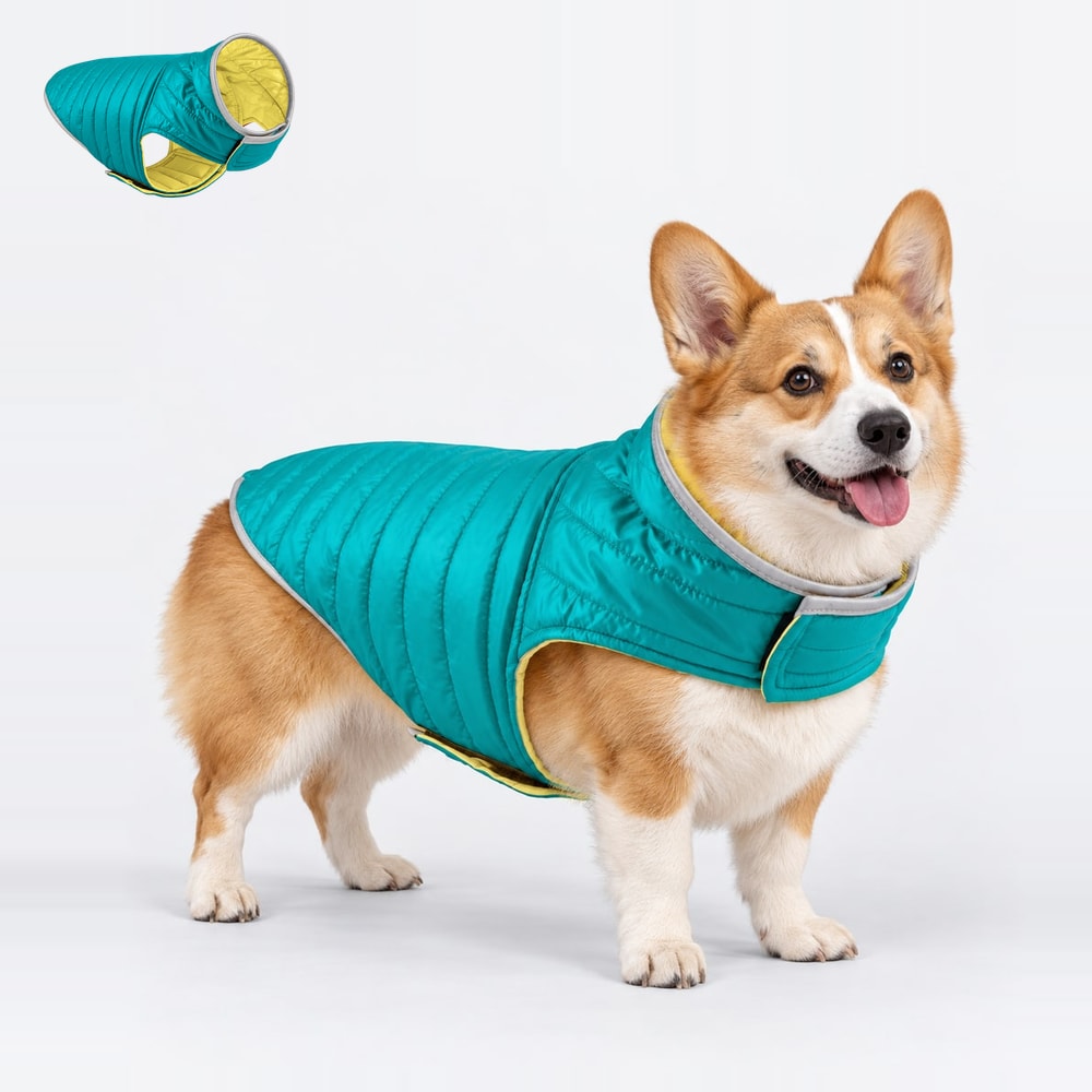 Reversible leash-access coat